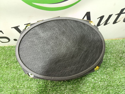 Динамик двери DR