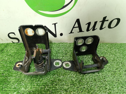 Петли двери задней левой DR