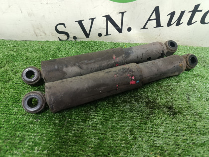 Амортизатор задней подвески (пара) FBA20