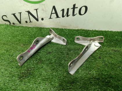 Петля капота (пара) GG3