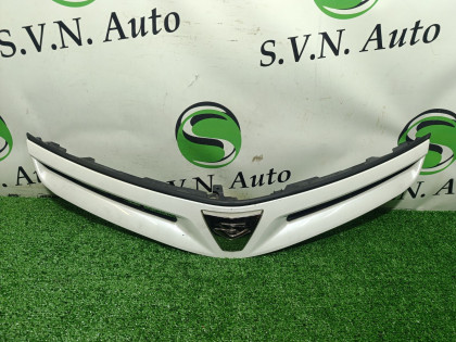 Решетка радиатора ACR50