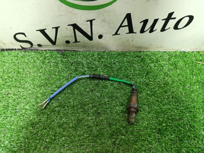 Датчик кислородный RG1