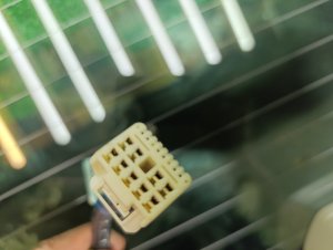 Дверь багажника color-209 TOYOTA RACTIS SCP100 2006