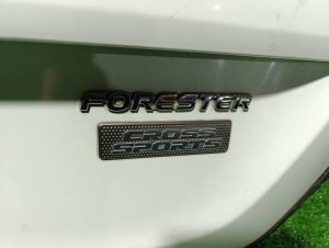 Дверь багажника color-51E SUBARU FORESTER SG5 2005