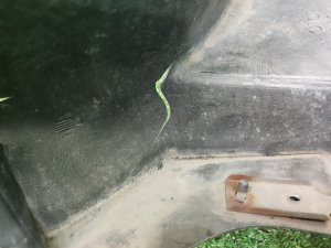 Подкрылок передний левый TOYOTA ALPHARD OEM 5384658041, 5380658070 ANH20 2011