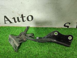 Петля капота левая NISSAN X-TRAIL OEM 65401JG000 DNT31 2010