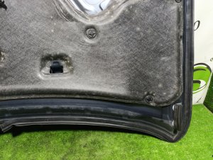 Капот Color- RAQ NISSAN X-TRAIL OEM F5100JG0MM DNT31 2009