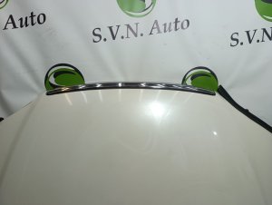 Капот Color-NH624P HONDA ODYSSEY OEM 60100S3N010ZZ RA6 2000